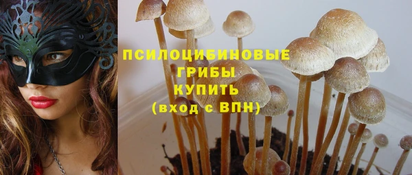 гашик Беслан