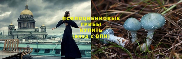 прущие крисы Бикин