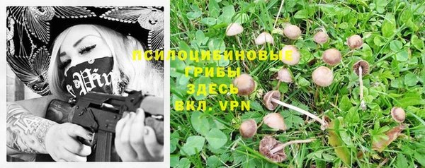 гашик Беслан