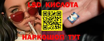 spice Бийск