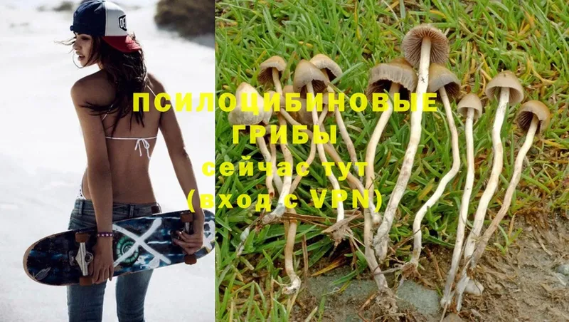 Псилоцибиновые грибы Magic Shrooms  MEGA как войти  Волжск 