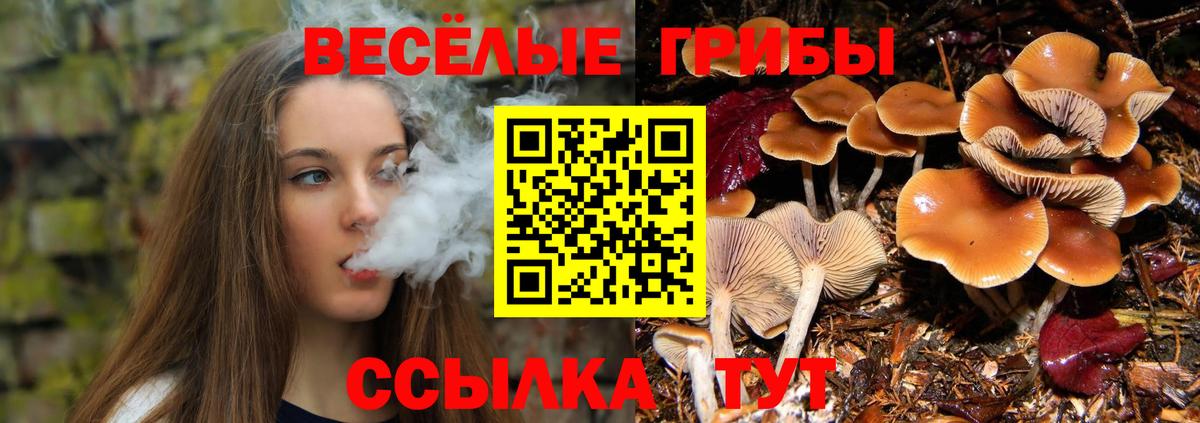 Галлюциногенные грибы MAGIC MUSHROOMS Волжск