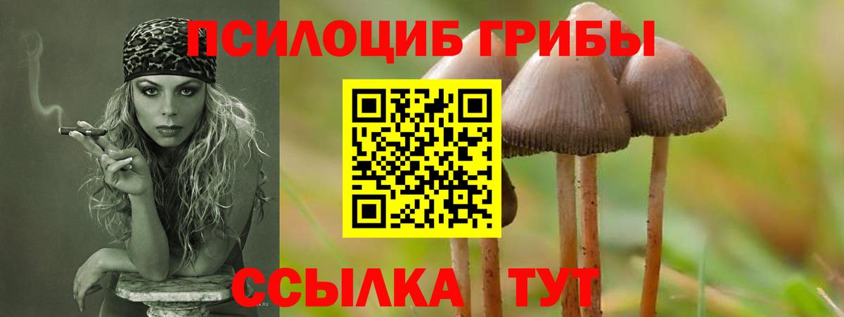 Псилоцибиновые грибы ЛСД  Псилоцибиновые грибы MAGIC MUSHROOMS  Волжск 